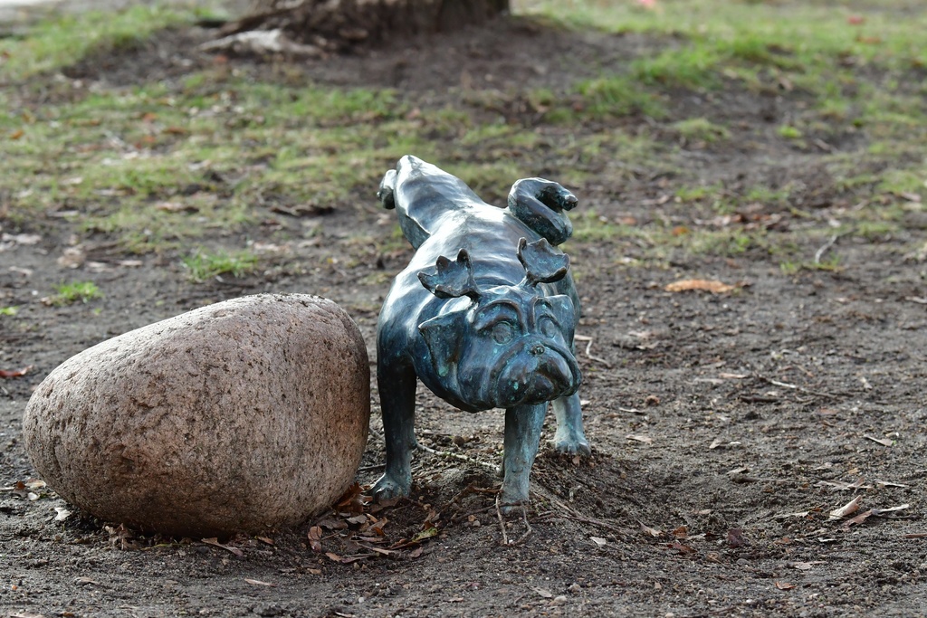 2026-01-08 Brandenburg an der Havel/Waldmöpse/DSC_2389.JPG